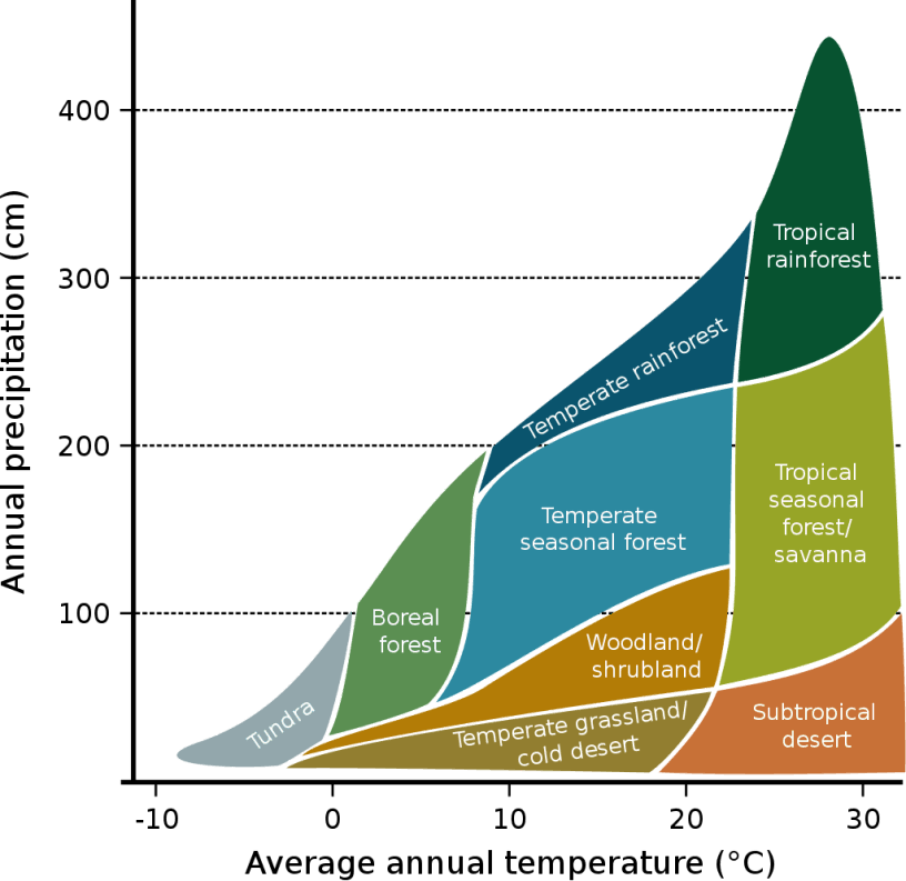 The Whittaker Model